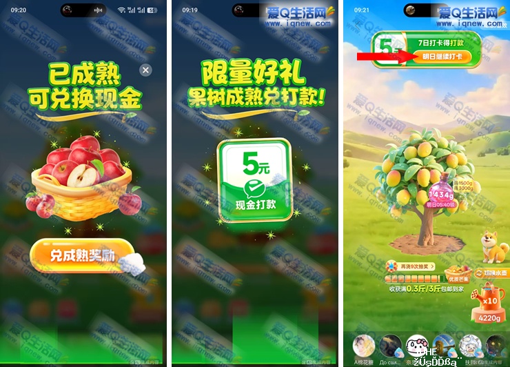 拼多多多多果园 签到领5元现金_www.iqnew.com