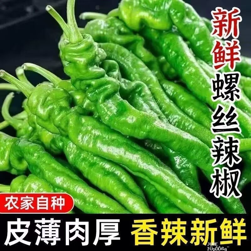 新鲜螺丝椒3斤 9.9元 - 聚合线报